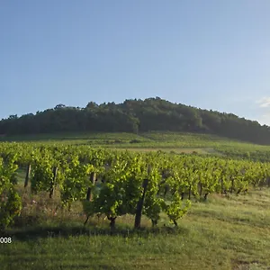 La Maison Du Vigneron , Ternand France